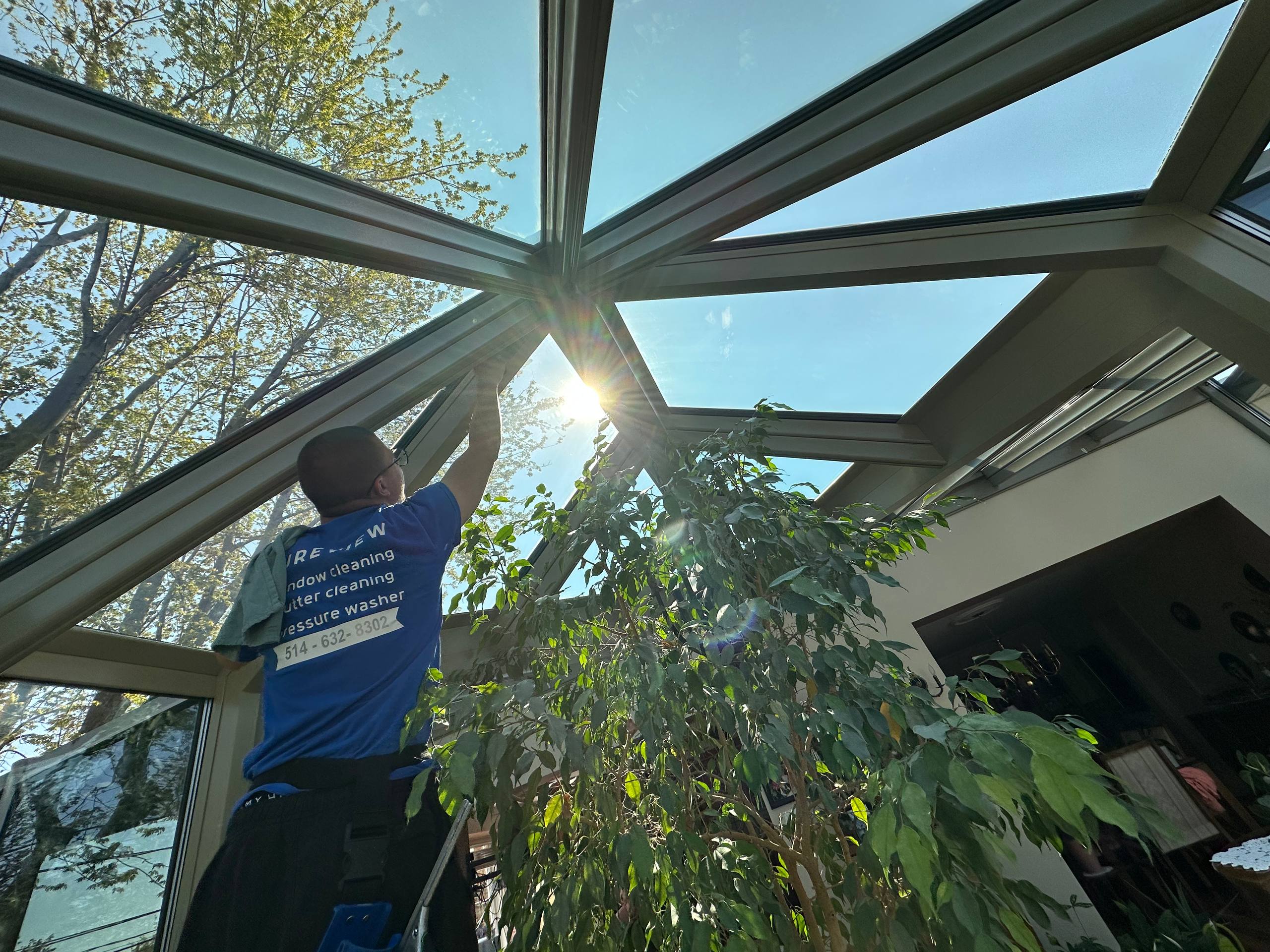 Professional window cleaning